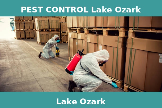 PEST CONTROL Lake Ozark